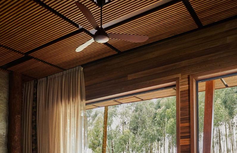 fern ceiling fan
